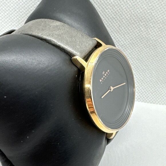 Skagen Ditte SKW2216 Women\'s Gray Leather Analog Dial Quartz Wrist Watch JNA563 main image 8